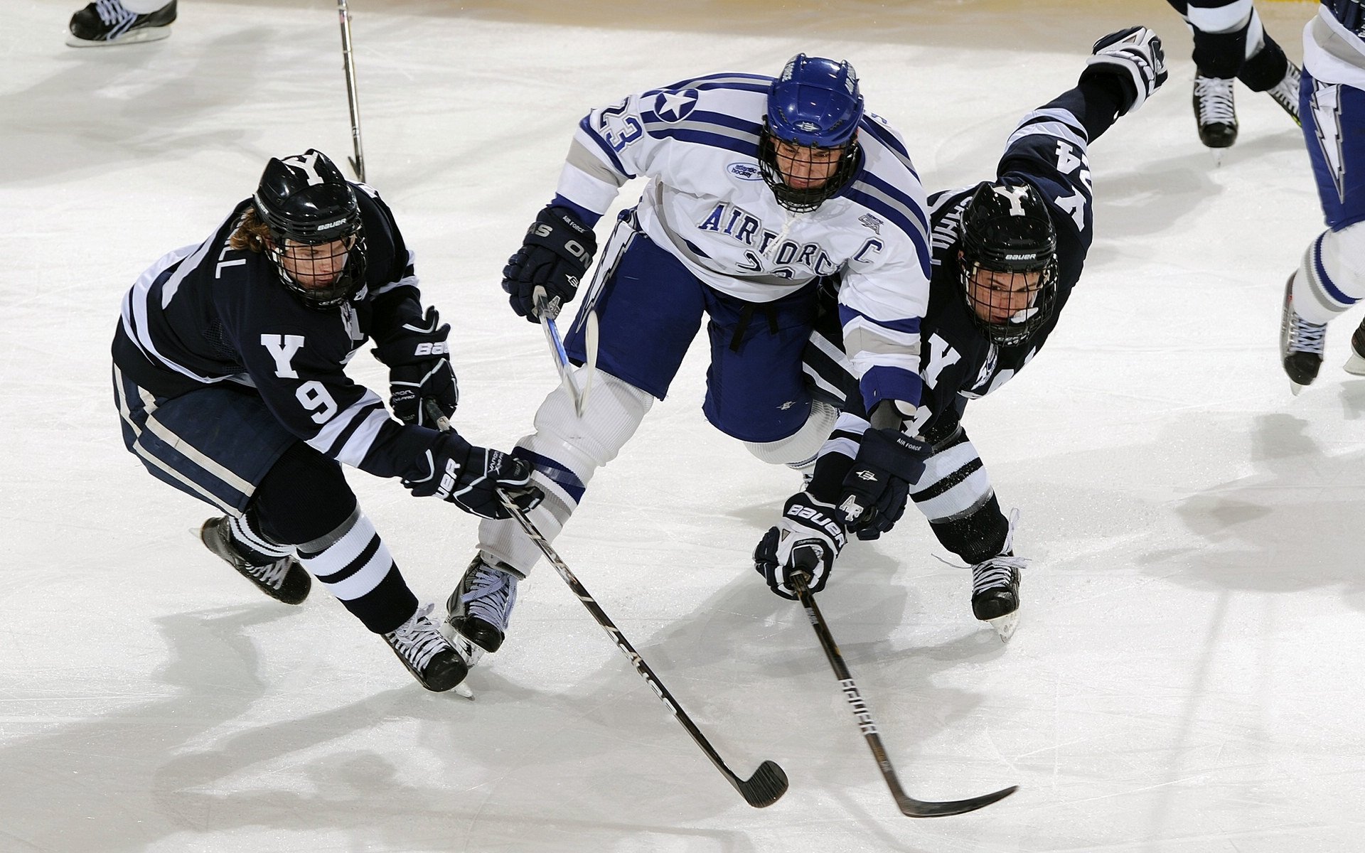 篮球“球迷上场日” 抽选观众参与表演赛